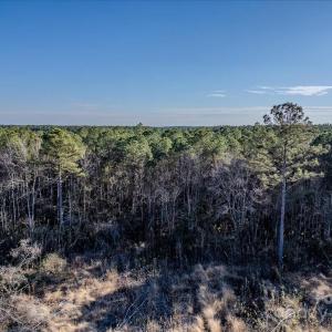 Photo #18 of off Camp Oak, Dover, NC
