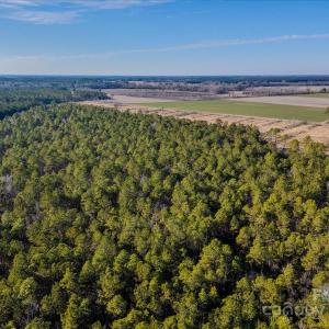 Photo #16 of off Camp Oak, Dover, NC