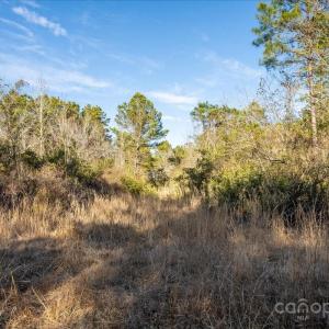 Photo #29 of off Camp Oak, Dover, NC