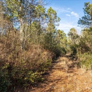 Photo #30 of off Camp Oak, Dover, NC