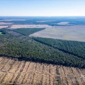 Photo #12 of off Camp Oak, Dover, NC