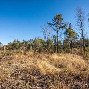 Photo #32 of off Camp Oak, Dover, NC