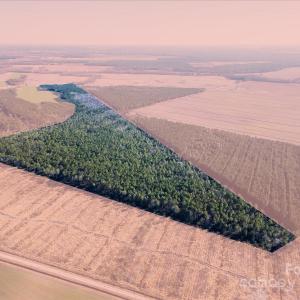 Photo #15 of off Camp Oak, Dover, NC