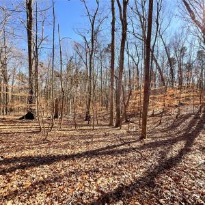 Photo #21 of 3009 Forest Lawn, Matthews, NC