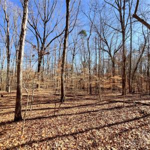 Photo #15 of 3009 Forest Lawn, Matthews, NC