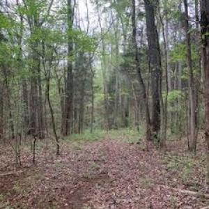 Photo #1 of 8.21 Acres Marshall, Rock Hill, SC