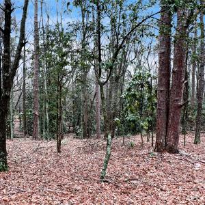 Photo #9 of 1777 Overbrook, Kershaw, SC