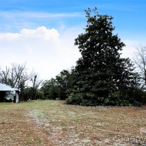 Photo #4 of 1777 Overbrook, Kershaw, SC