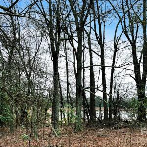 Photo #8 of 1777 Overbrook, Kershaw, SC