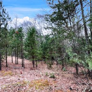 Photo #11 of 1777 Overbrook, Kershaw, SC