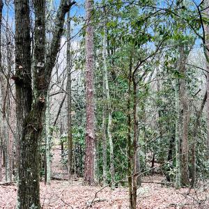 Photo #10 of 1777 Overbrook, Kershaw, SC