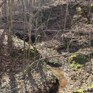 Photo #11 of 109 NC Highway 109, Wadesboro, NC