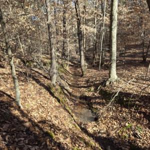 Photo #13 of 109 NC Highway 109, Wadesboro, NC