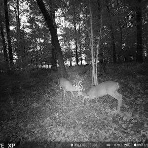 Photo #12 of 7210 Mission, Mount Pleasant, NC