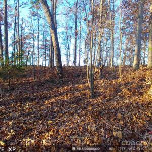 Photo #2 of 7210 Mission, Mount Pleasant, NC