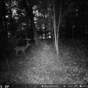 Photo #11 of 7210 Mission, Mount Pleasant, NC