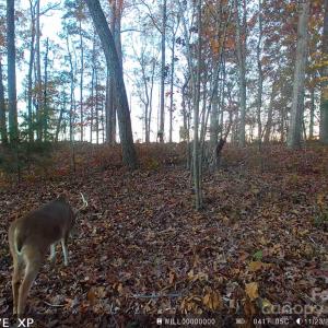 Photo #13 of 7210 Mission, Mount Pleasant, NC