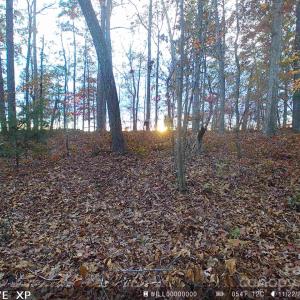 Photo #13 of 7210 Mission, Mount Pleasant, NC