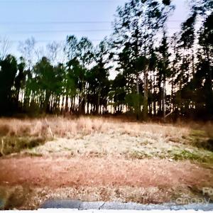 Photo #8 of TBD Wateree, Great Falls, SC