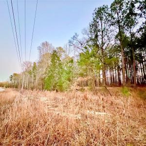 Photo #3 of TBD Wateree, Great Falls, SC