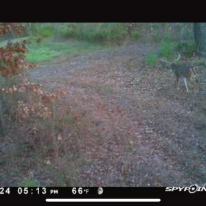 Photo #34 of 98 Great North, Winnsboro, SC
