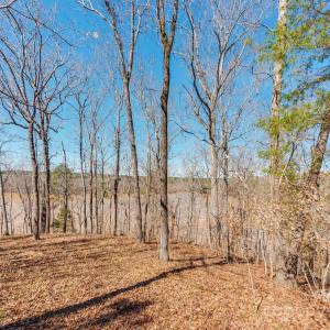 Photo #13 of 98 Great North, Winnsboro, SC
