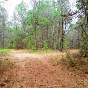 Photo #4 of White Store, Pageland, SC