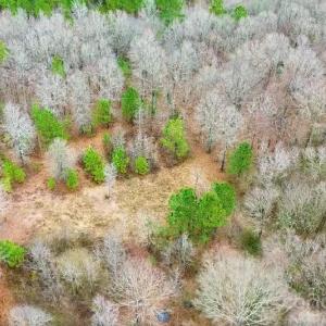 Photo #6 of White Store, Pageland, SC
