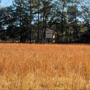 Photo #7 of 434 Macedonia Angelus, Jefferson, SC