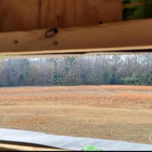 Photo #8 of 434 Macedonia Angelus, Jefferson, SC
