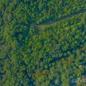 Photo #44 of Little River, Indian Land, SC