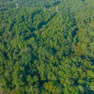 Photo #43 of Little River, Indian Land, SC
