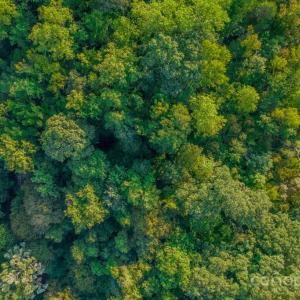 Photo #34 of Little River, Indian Land, SC