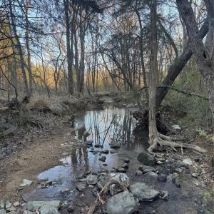 Photo #1 of Daystar, Lancaster, SC