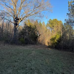 Photo #4 of Daystar, Lancaster, SC