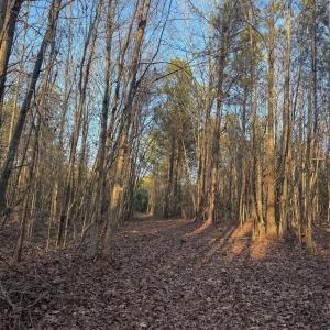 Photo #6 of Daystar, Lancaster, SC