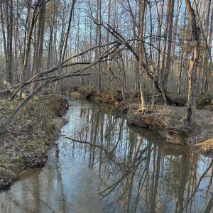 Photo #7 of Daystar, Lancaster, SC