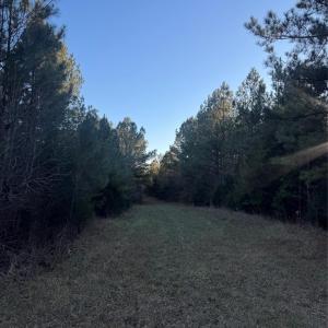 Photo #3 of Daystar, Lancaster, SC