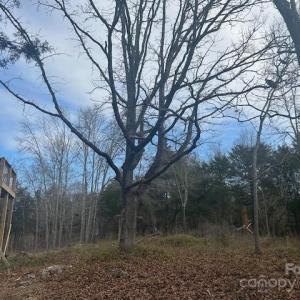 Photo #13 of 5429 Flint Ridge Church, Marshville, NC