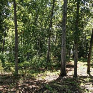 Photo #8 of 219 Sailors Rest, Lexington, NC