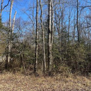 Photo #2 of Playground, Salisbury, NC