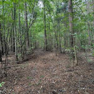 Photo #5 of Huey, Waxhaw, NC