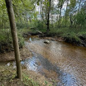 Photo #3 of Huey, Waxhaw, NC