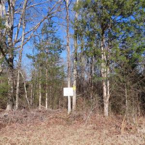 Photo #1 of lot 2 Winter, Rock Hill, SC