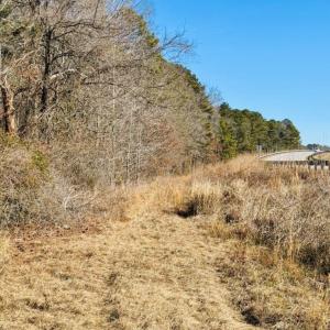 Photo #22 of Hwy 9, Wallace, SC