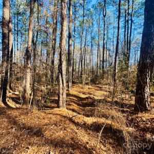 Photo #12 of Hwy 9, Wallace, SC