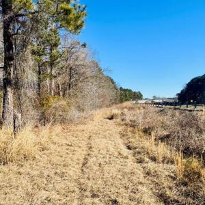 Photo #21 of Hwy 9, Wallace, SC