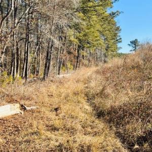 Photo #7 of Hwy 9, Wallace, SC
