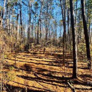 Photo #9 of Hwy 9, Wallace, SC