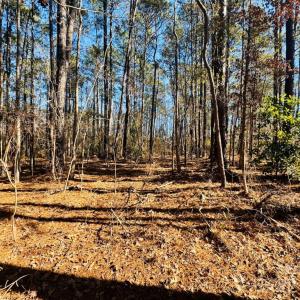 Photo #8 of Hwy 9, Wallace, SC